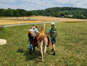 Kinder mit Lama von hinten